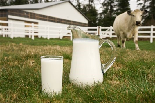 Organic Milk